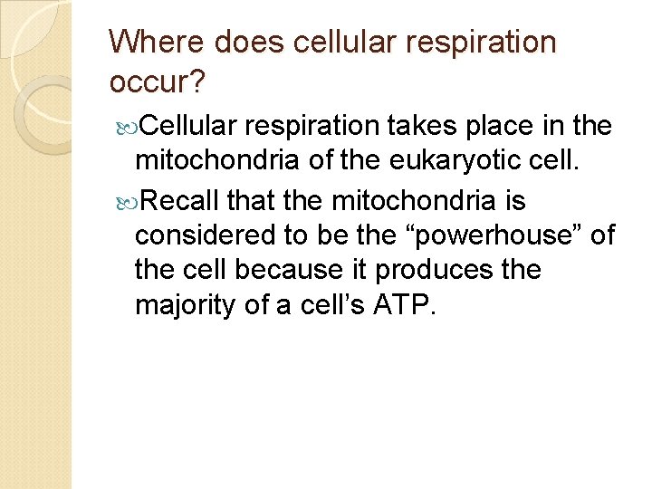 Where does cellular respiration occur? Cellular respiration takes place in the mitochondria of the