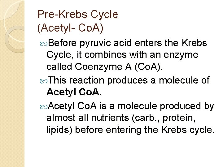 Pre-Krebs Cycle (Acetyl- Co. A) Before pyruvic acid enters the Krebs Cycle, it combines