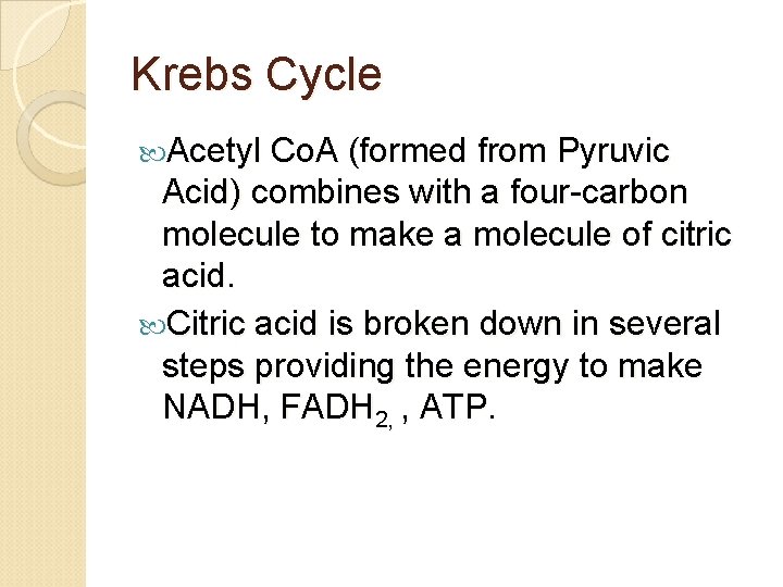 Krebs Cycle Acetyl Co. A (formed from Pyruvic Acid) combines with a four-carbon molecule