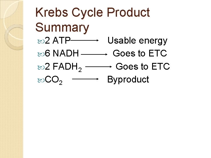 Krebs Cycle Product Summary 2 ATP 6 NADH 2 FADH 2 CO 2 Usable