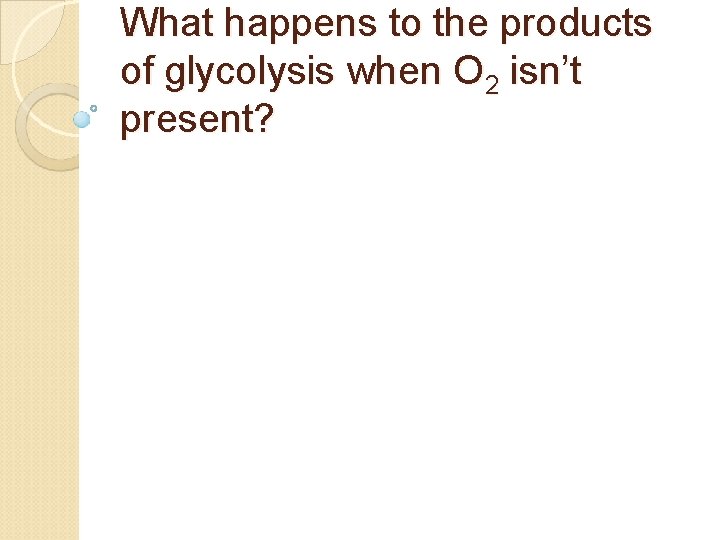 What happens to the products of glycolysis when O 2 isn’t present? 