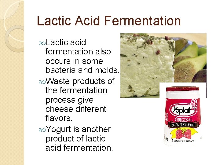 Lactic Acid Fermentation Lactic acid fermentation also occurs in some bacteria and molds. Waste