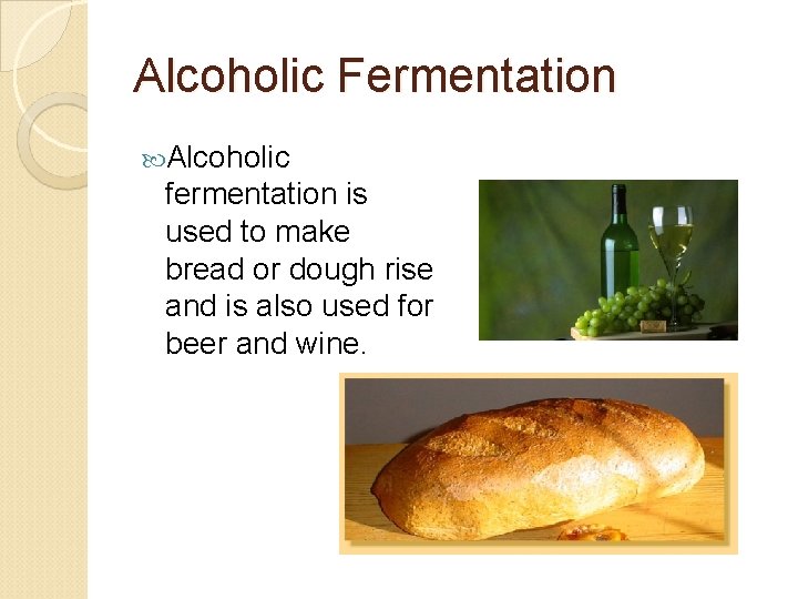 Alcoholic Fermentation Alcoholic fermentation is used to make bread or dough rise and is