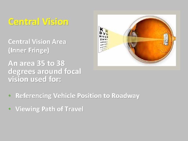 Central Vision Area (Inner Fringe) An area 35 to 38 degrees around focal vision