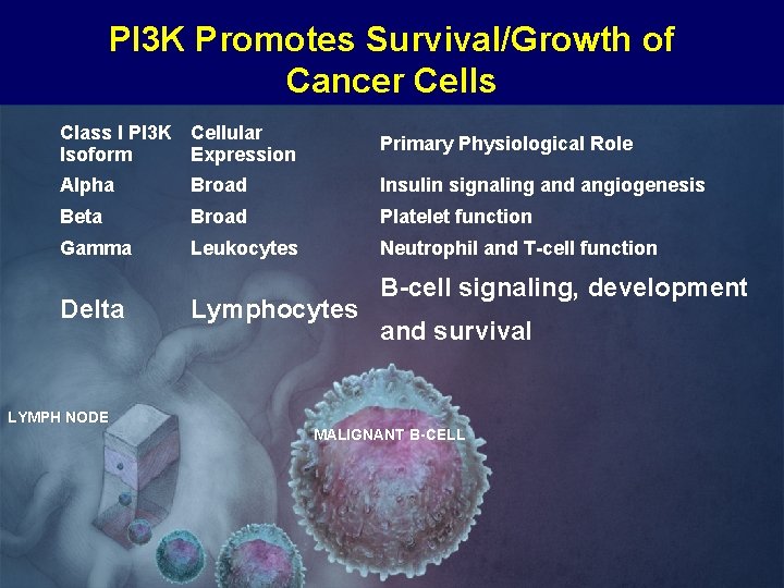 PI 3 K Promotes Survival/Growth of Cancer Cells Class I PI 3 K Cellular