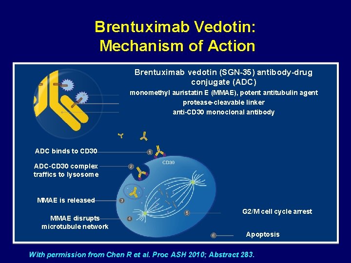 Brentuximab Vedotin: Mechanism of Action Brentuximab vedotin (SGN-35) antibody-drug conjugate (ADC) monomethyl auristatin E