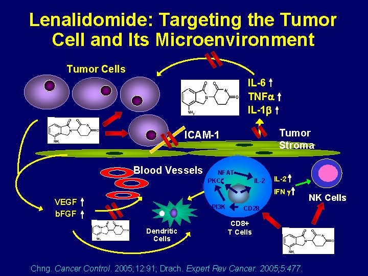 Lenalidomide: Targeting the Tumor Cell and Its Microenvironment Tumor Cells IL-6 TNF IL-1 Tumor