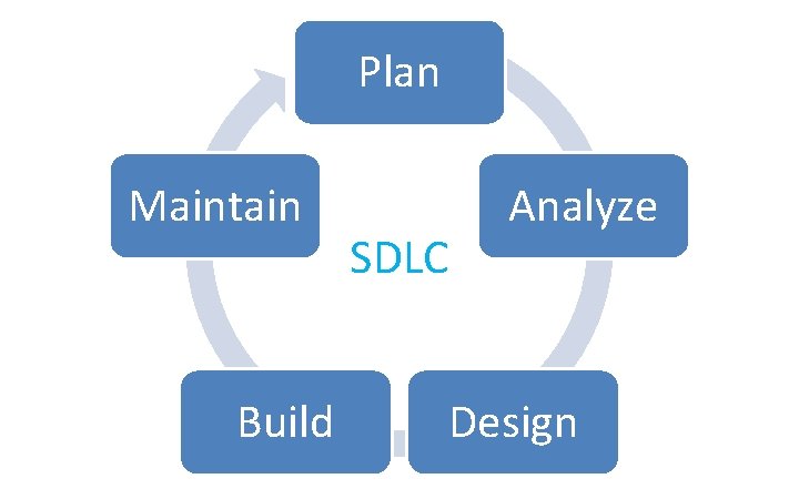 Plan Maintain Build SDLC Analyze Design 