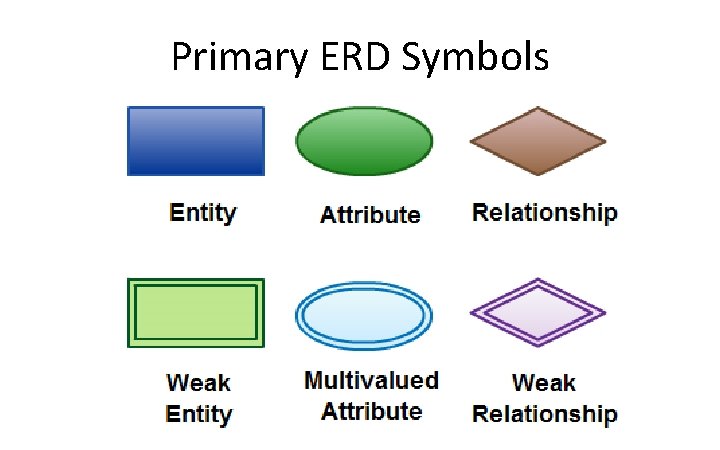 Primary ERD Symbols 