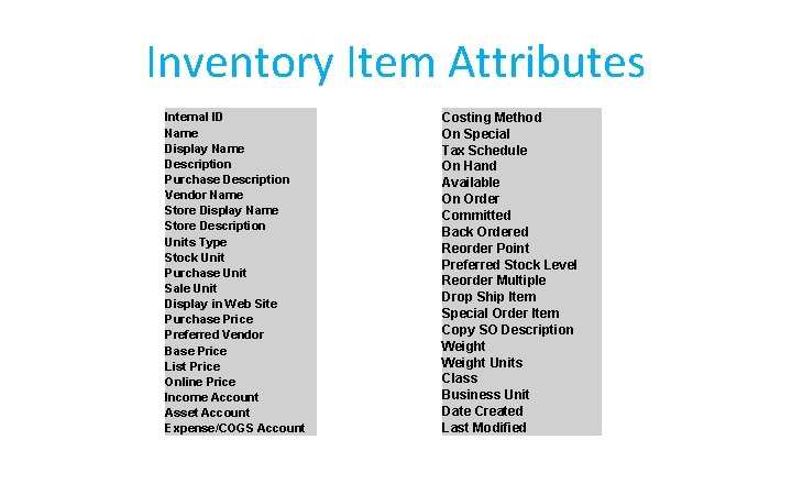 Inventory Item Attributes Internal ID Name Display Name Description Purchase Description Vendor Name Store