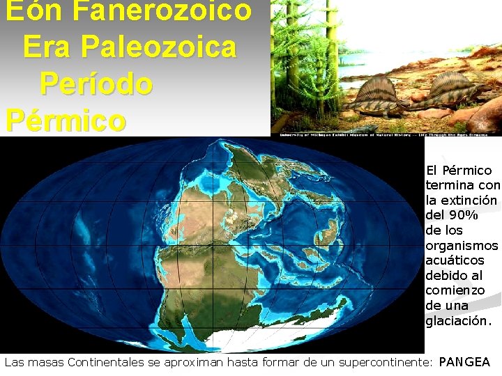 Eón Fanerozoico Era Paleozoica Período Pérmico El Pérmico termina con la extinción del 90%