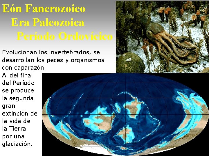 Eón Fanerozoico Era Paleozoica Período Ordovícico Evolucionan los invertebrados, se desarrollan los peces y