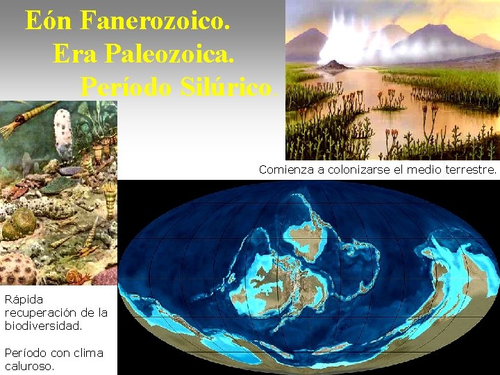 Eón Fanerozoico. Era Paleozoica. Período Silúrico. Comienza a colonizarse el medio terrestre. Rápida recuperación