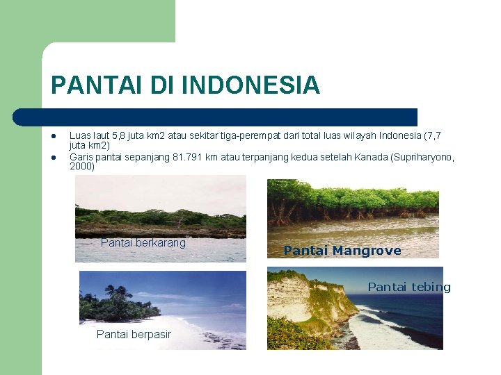 PANTAI DI INDONESIA l l Luas laut 5, 8 juta km 2 atau sekitar
