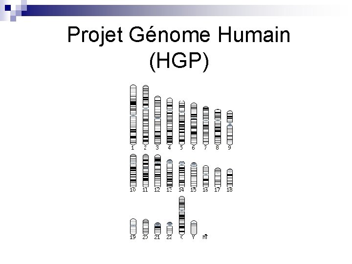 Projet Génome Humain (HGP) 