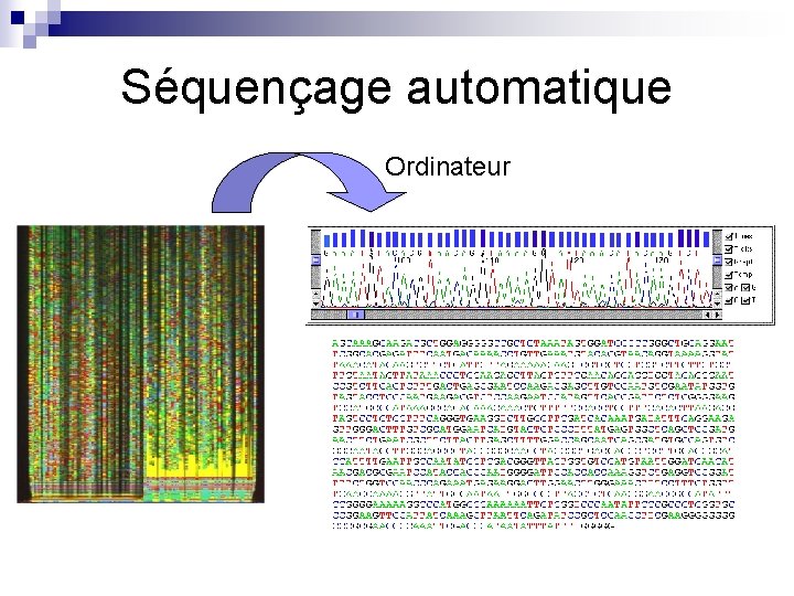 Séquençage automatique Ordinateur 