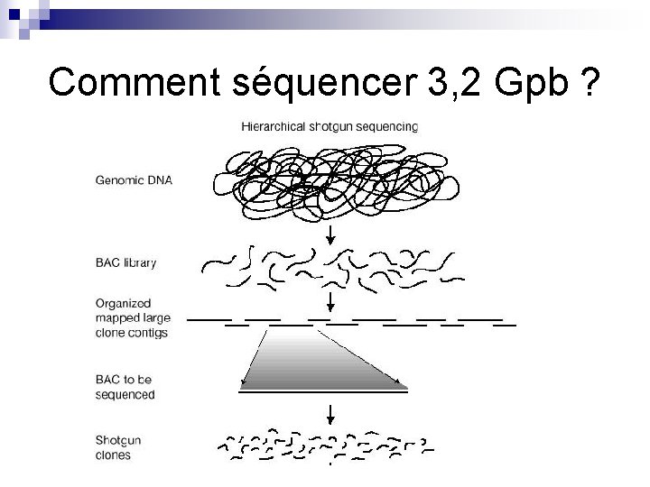 Comment séquencer 3, 2 Gpb ? 