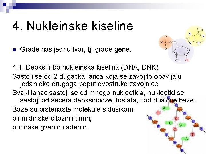 4. Nukleinske kiseline n Grade nasljednu tvar, tj. grade gene. 4. 1. Deoksi ribo