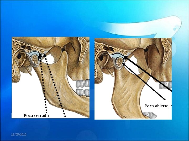Boca abierta Boca cerrada 19/05/2010 