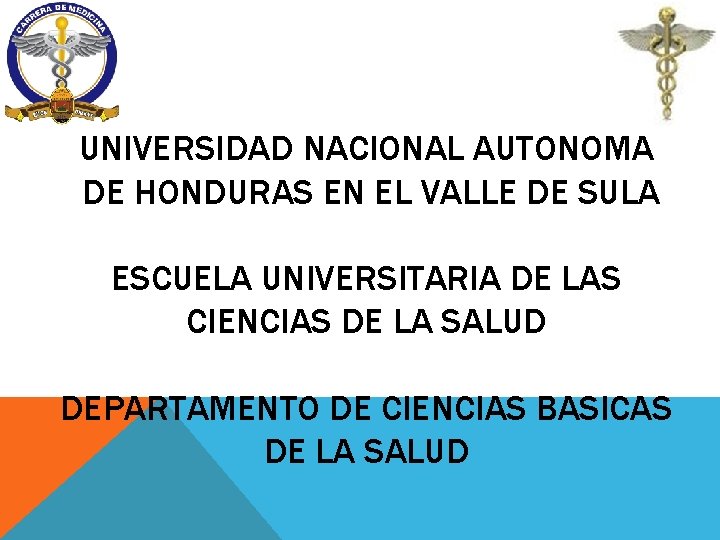 UNIVERSIDAD NACIONAL AUTONOMA DE HONDURAS EN EL VALLE DE SULA ESCUELA UNIVERSITARIA DE LAS