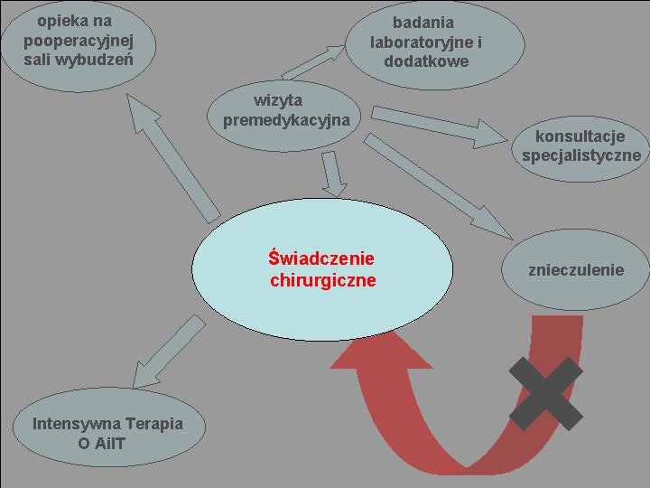 opieka na pooperacyjnej sali wybudzeń badania laboratoryjne i dodatkowe wizyta premedykacyjna Świadczenie chirurgiczne Intensywna