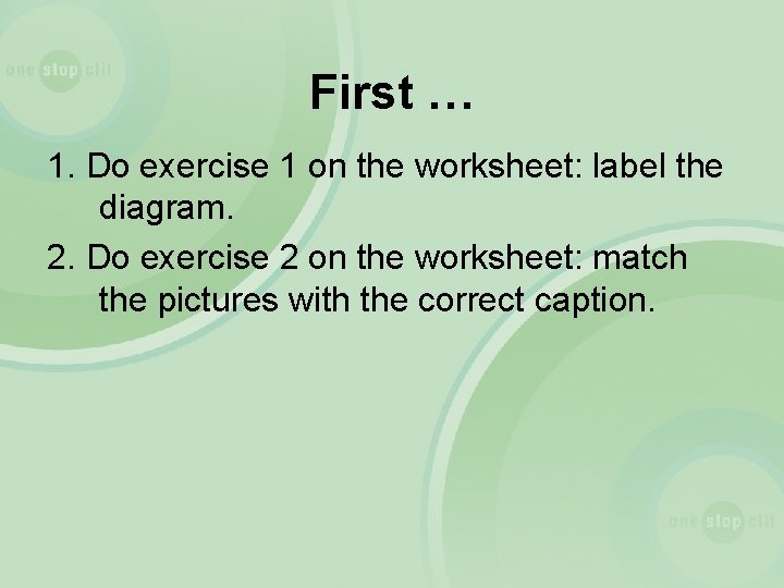First … 1. Do exercise 1 on the worksheet: label the diagram. 2. Do