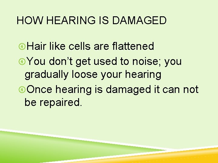 HOW HEARING IS DAMAGED Hair like cells are flattened You don’t get used to