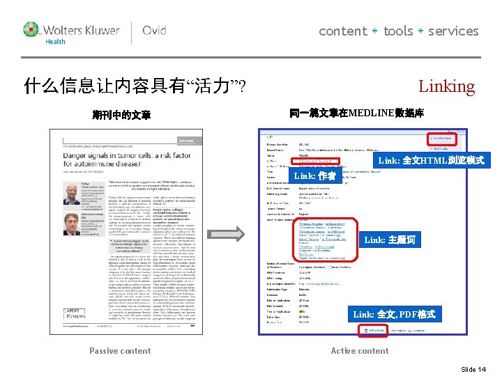 content + tools + services Linking 什么信息让内容具有“活力”? 期刊中的文章 同一篇文章在MEDLINE数据库 Link: 全文HTML浏览模式 Link: 作者 Link: content + tools + services Linking 什么信息让内容具有“活力”? 期刊中的文章 同一篇文章在MEDLINE数据库 Link: 全文HTML浏览模式 Link: 作者 Link: