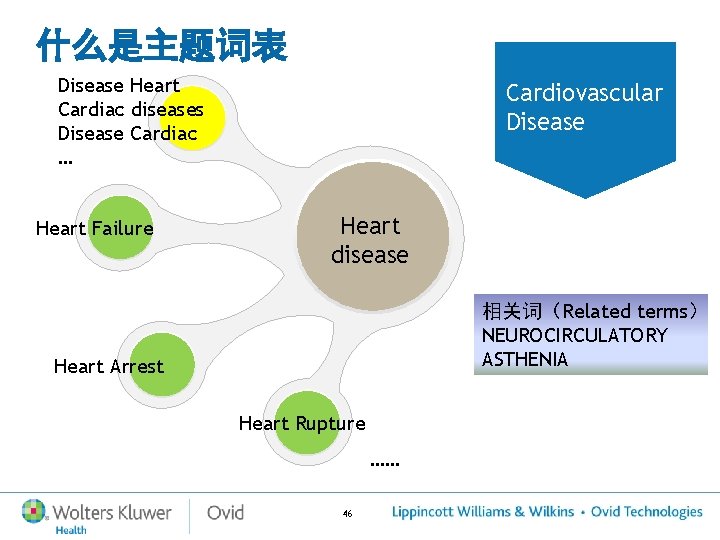 什么是主题词表 Disease Heart Cardiac diseases Disease Cardiac … Heart Failure Cardiovascular Disease Heart disease 什么是主题词表 Disease Heart Cardiac diseases Disease Cardiac … Heart Failure Cardiovascular Disease Heart disease