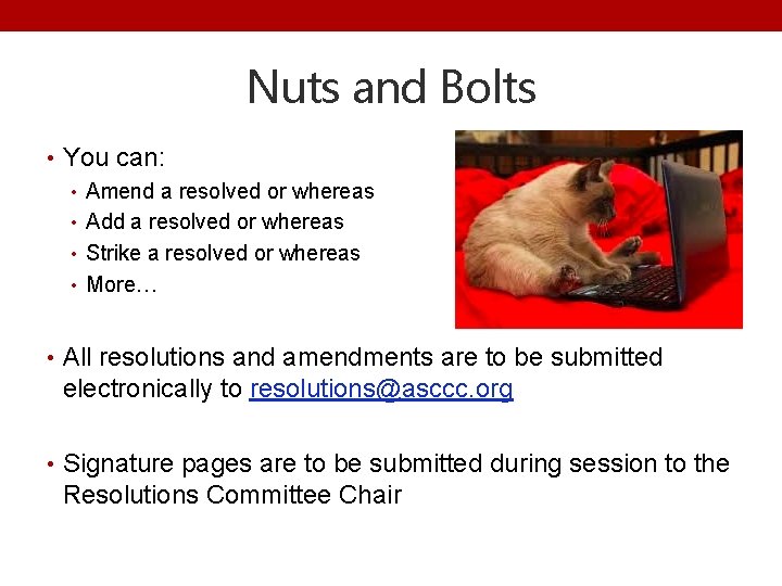 Nuts and Bolts • You can: • Amend a resolved or whereas • Add