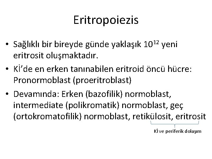 Eritropoiezis • Sağlıklı bireyde günde yaklaşık 1012 yeni eritrosit oluşmaktadır. • Kİ’de en erken