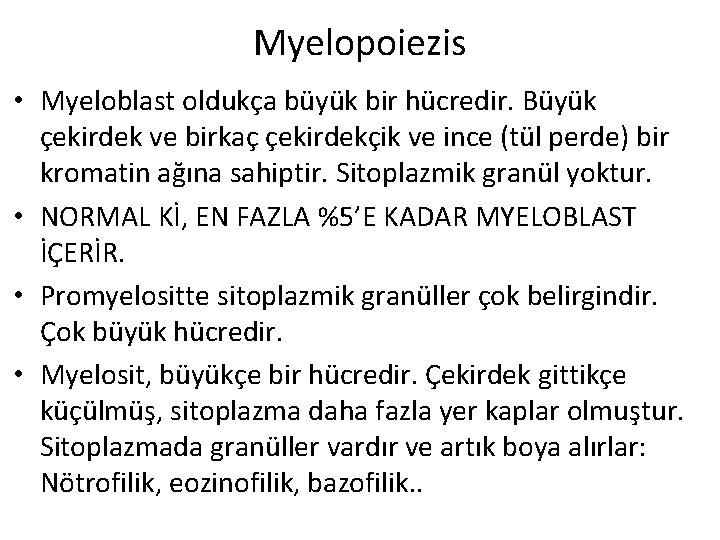 Myelopoiezis • Myeloblast oldukça büyük bir hücredir. Büyük çekirdek ve birkaç çekirdekçik ve ince