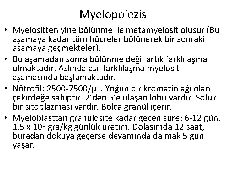 Myelopoiezis • Myelositten yine bölünme ile metamyelosit oluşur (Bu aşamaya kadar tüm hücreler bölünerek