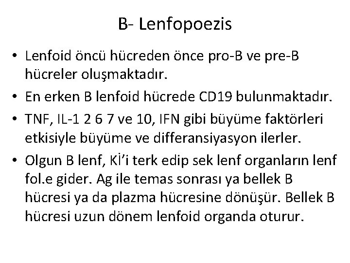 B- Lenfopoezis • Lenfoid öncü hücreden önce pro-B ve pre-B hücreler oluşmaktadır. • En