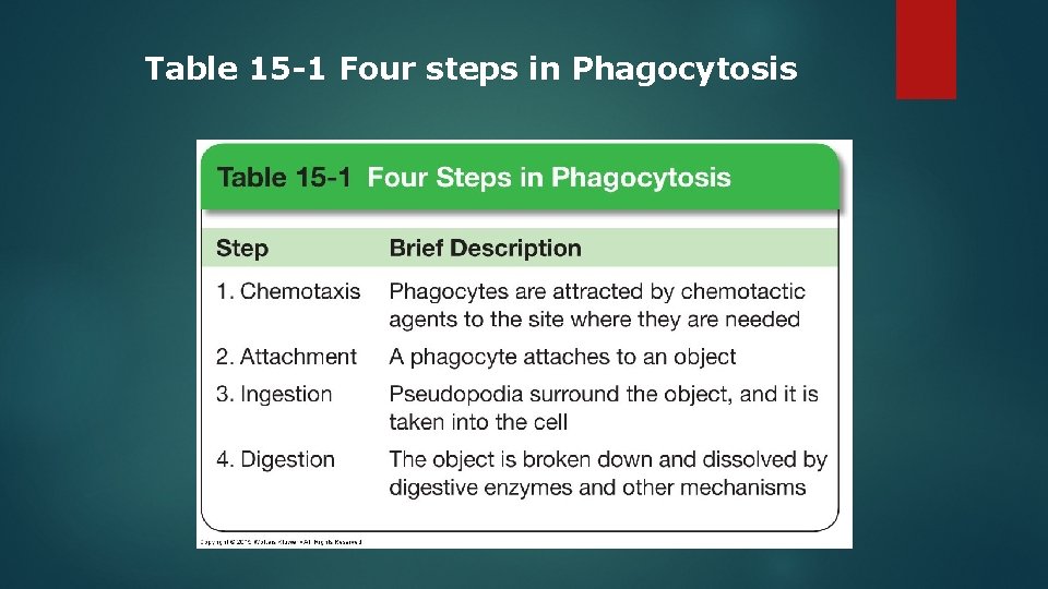 Table 15 -1 Four steps in Phagocytosis 