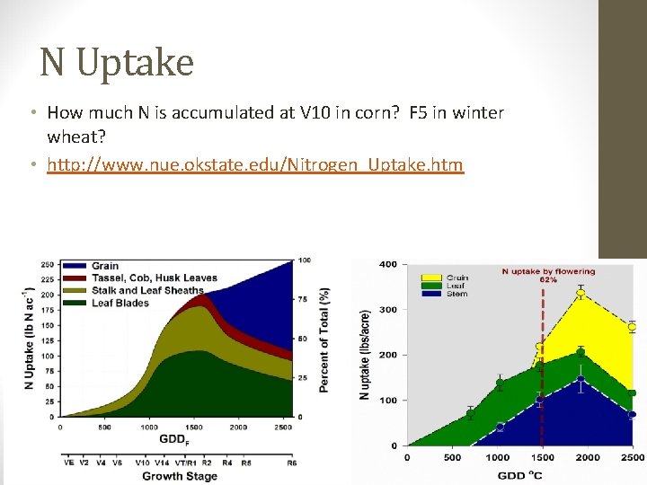 N Uptake • How much N is accumulated at V 10 in corn? F