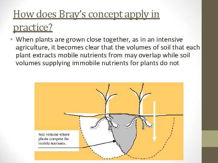 How does Bray’s concept apply in practice? • When plants are grown close together,