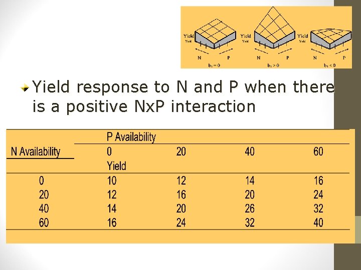 Yield response to N and P when there is a positive Nx. P interaction