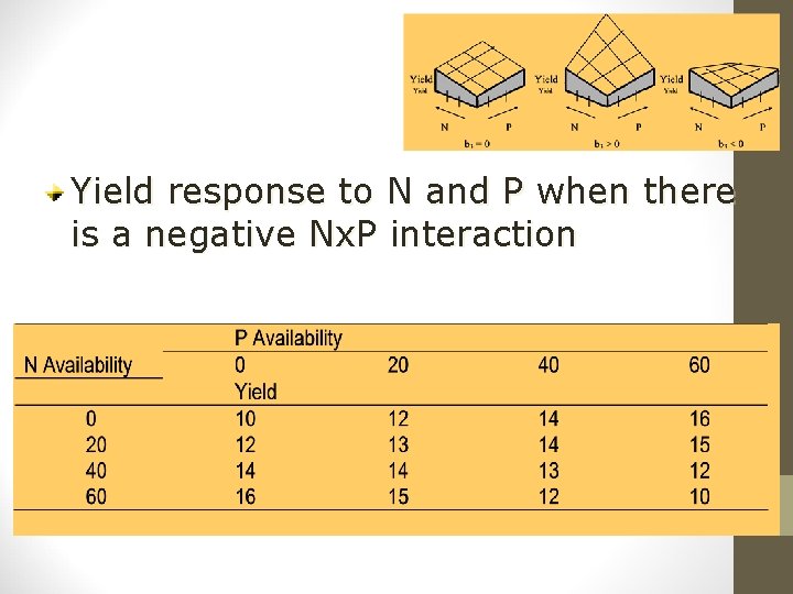 Yield response to N and P when there is a negative Nx. P interaction