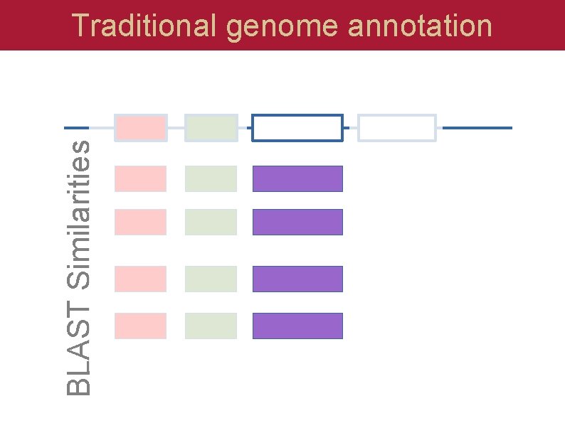 BLAST Similarities Traditional genome annotation 