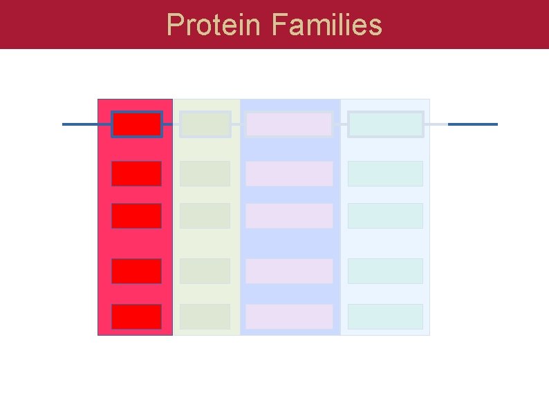 Protein Families 
