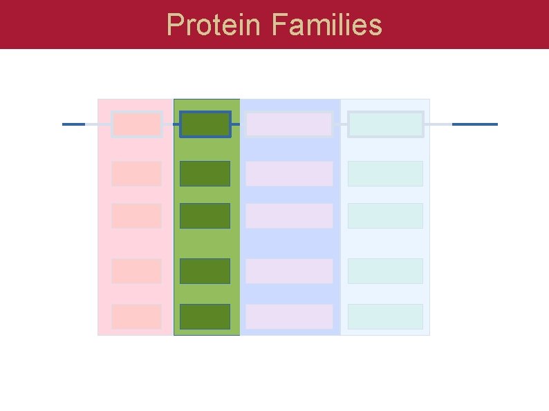 Protein Families 