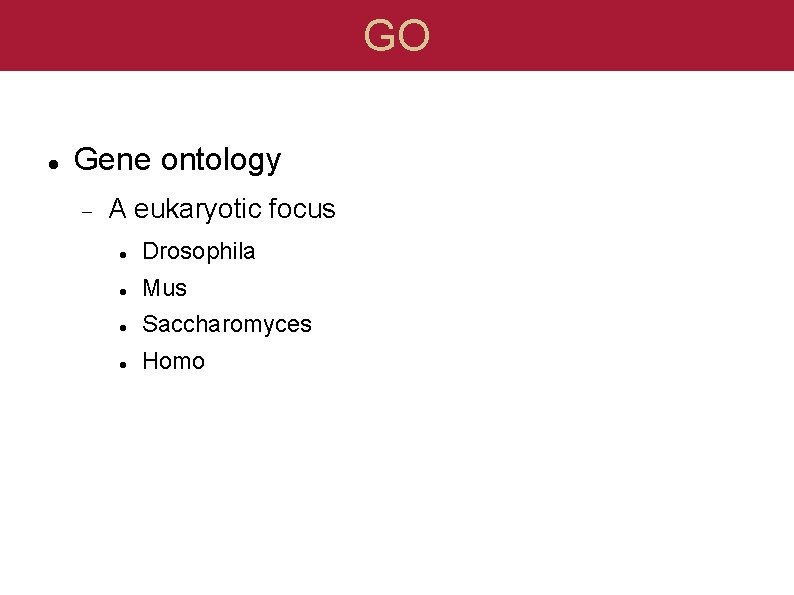 GO Gene ontology A eukaryotic focus Drosophila Mus Saccharomyces Homo 