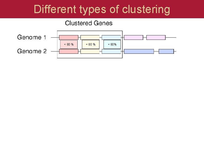 Different types of clustering < 80 % < 80% 