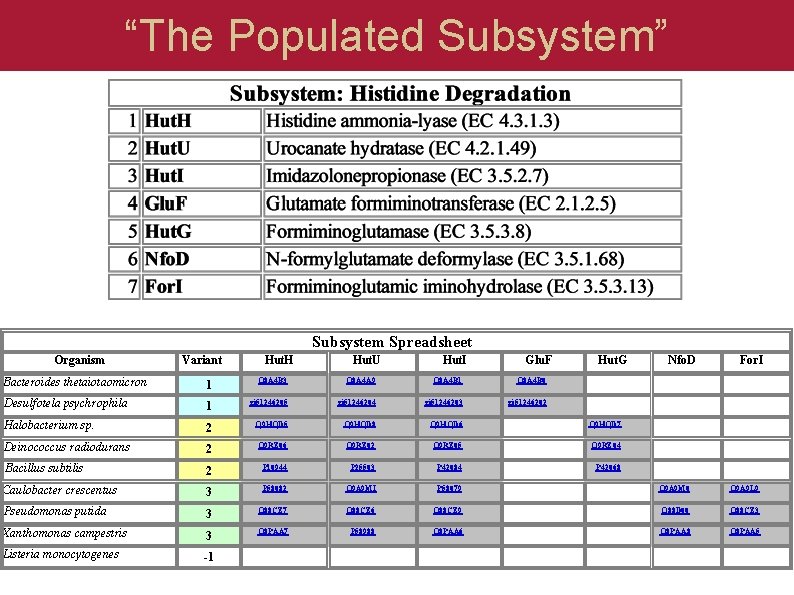 “The Populated Subsystem” Subsystem Spreadsheet Organism Variant Hut. H Hut. U Hut. I Glu.