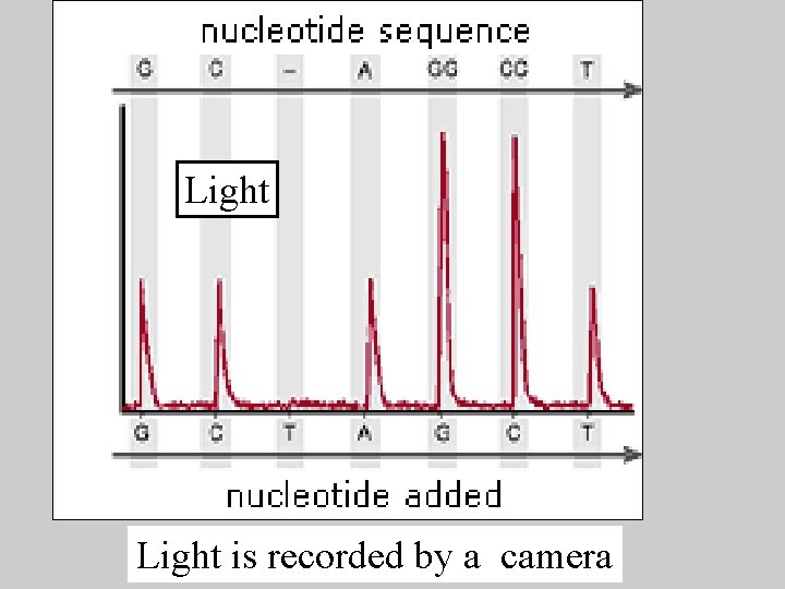 Light is recorded by a camera 