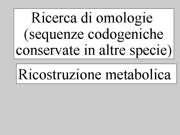 Ricerca di omologie (sequenze codogeniche conservate in altre specie) Ricostruzione metabolica 