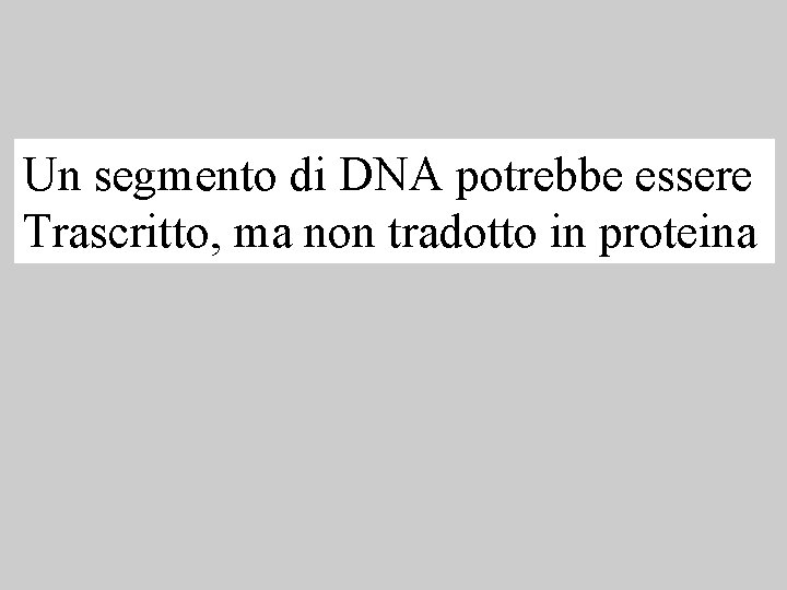 Un segmento di DNA potrebbe essere Trascritto, ma non tradotto in proteina 