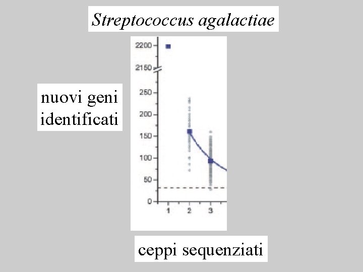 Streptococcus agalactiae nuovi geni identificati ceppi sequenziati 