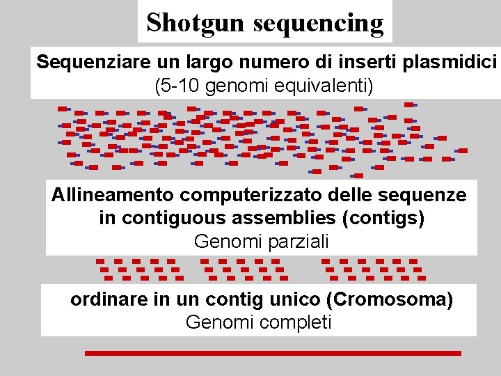 Shotgun sequencing Sequenziare un largo numero di inserti plasmidici (5 -10 genomi equivalenti) Allineamento